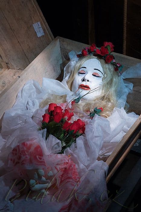 1. obrázek Muzeum strašidel - Olešnice