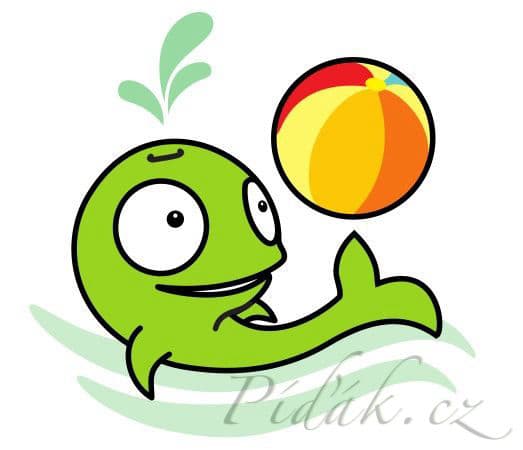 1. obrázek Plavecká škola Brno