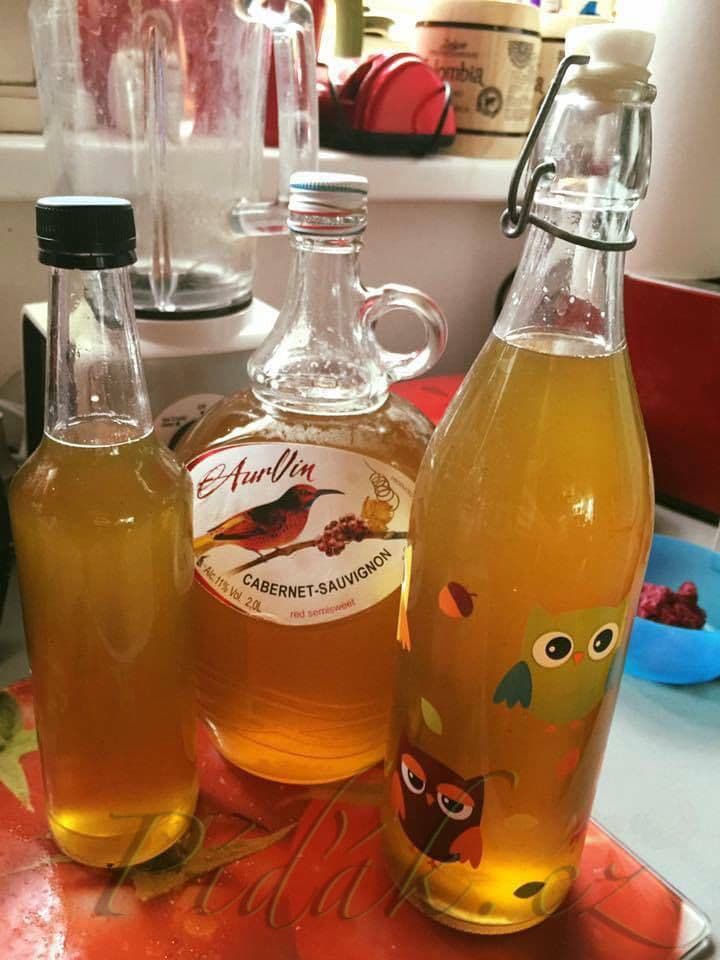 1. obrázek Pampeliškový sirup by Romča 