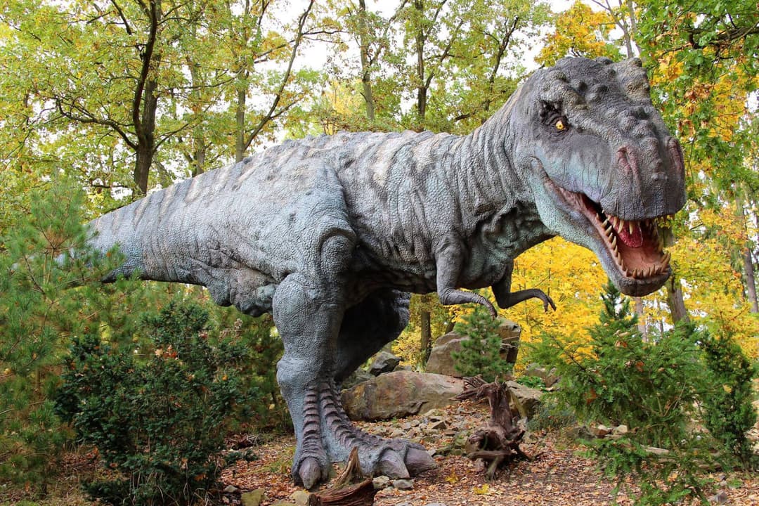 1. obrázek DinoPark ZOO Plzeň