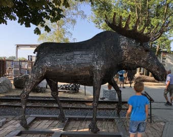 3. obrázek Kovozoo - Staré Město