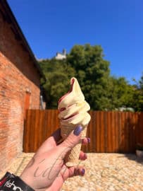 10. obrázek Hrad Bezděz