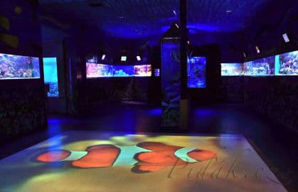 3. obrázek Mořský svět - Praha