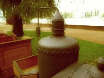 6. obrázek Dětský vláček- Český lvíček- Praha