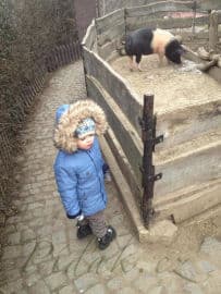 3. obrázek Toulcův Dvůr- středisko ekologické výchovy- Praha