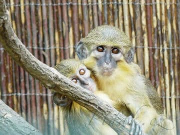 6. obrázek Zoopark zájezd- Kladno