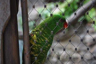 23. obrázek Zoologická zahrada Praha