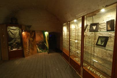 7. obrázek Akvárium Pod hladinou Vltavy- Praha