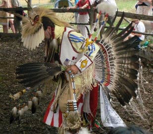 5. obrázek Fort Hary - Pevnost Lovců Kožešin A Indiánské Muzeum - Jarotice