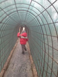 25. obrázek Mirakulum přírodní zábavně naučný park- Milovice