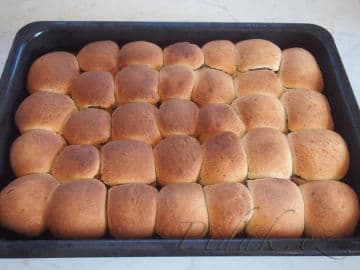 3. obrázek Buchty makové - Strašínsko 