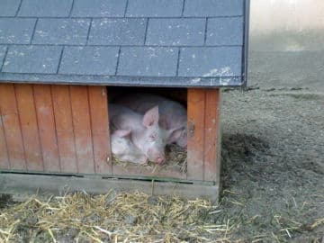 8. obrázek Výletní Areál Pěnčín