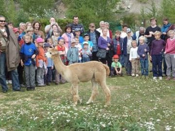 4. obrázek Lamacentrum Hády - Brno