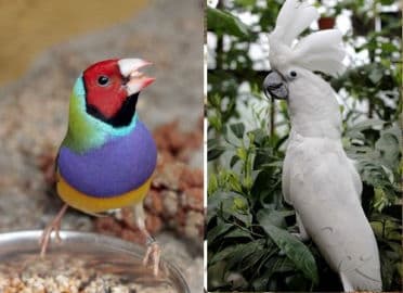 6. obrázek Tropic Hukvaldy