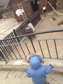 2. obrázek Toulcův Dvůr- středisko ekologické výchovy- Praha