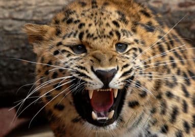 5. obrázek Zoo  Ústí nad Labem