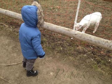 8. obrázek Toulcův Dvůr- středisko ekologické výchovy- Praha