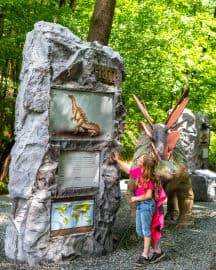 3. obrázek DinoPark ZOO Košice