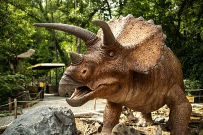 4. obrázek DinoPark ZOO Vyškov 