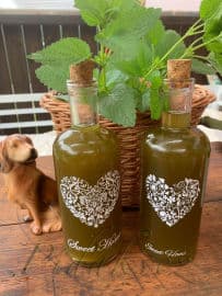 Obrázek Sirup z meduňky