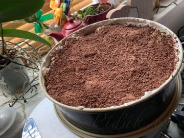 4. obrázek Nepečený ovocný dort s mascarpone a zakysanou smetanou 