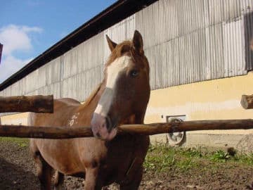 6. obrázek Výletní Areál Pěnčín