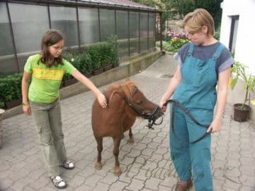 3. obrázek Ekocentrum Zahrada - Mladá Boleslav