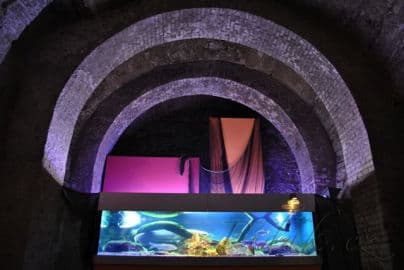 2. obrázek Akvárium Pod hladinou Vltavy- Praha