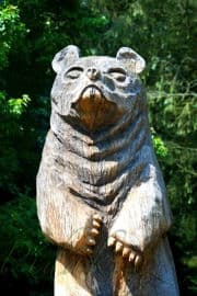 7. obrázek Dětská stezka s medem za medvědem - Benešov