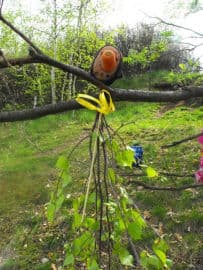 9. obrázek Lesní klub Kopretina- Příbram