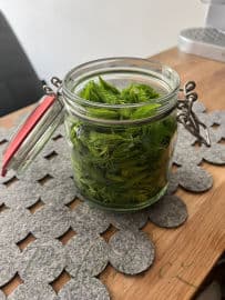 5. obrázek Smrkové výhonky naložené v medu s citrónem