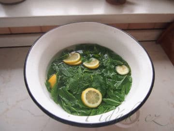 2. obrázek Mátový sirup - nevařený 